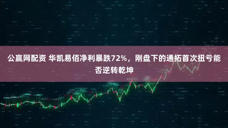 公赢网配资 华凯易佰净利暴跌72%,刚盘下的通拓首次扭亏能否逆转乾坤