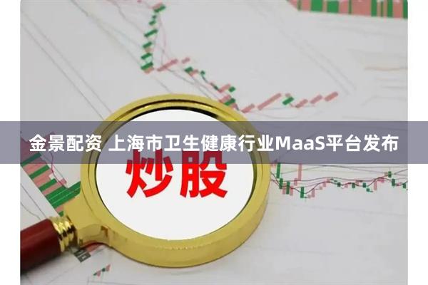 金景配资 上海市卫生健康行业MaaS平台发布